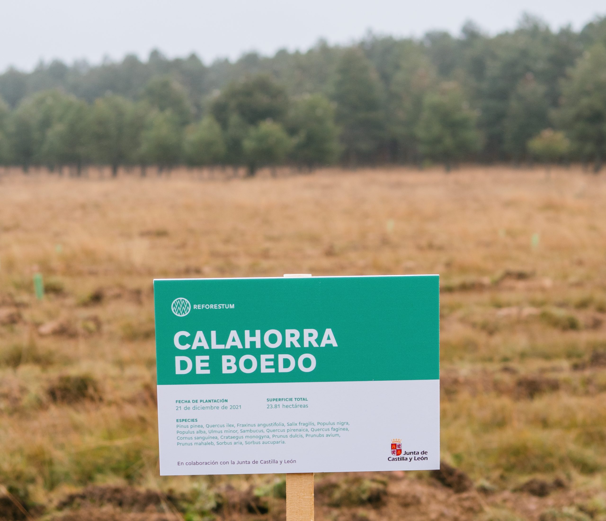 Spanish sign indicating a new forest has been planted