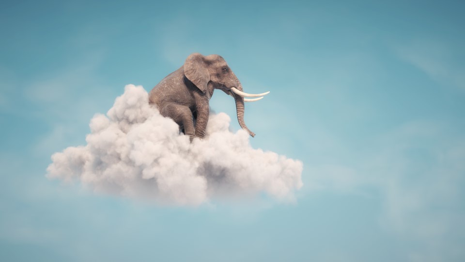 The elephant in the cloud